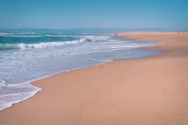 Sunny Day Beach Beautiful Seascape Backgound Turquoise Colored Sea Wide — Stock Photo, Image