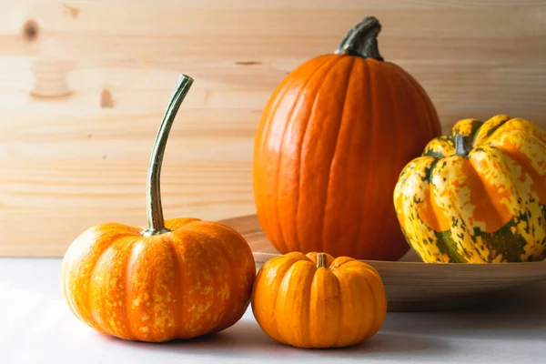 Pumpkins Squash Close Wooden Background Copy Space Fall Decoration Harvest — 스톡 사진