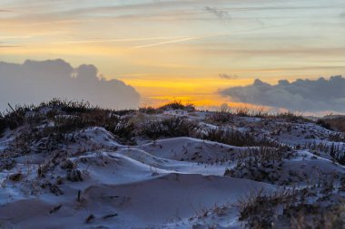 Dalgalanan kum tepeleri ve kuru bitki örtüsü altın bir günbatımının yumuşak parıltısıyla aydınlanır.
