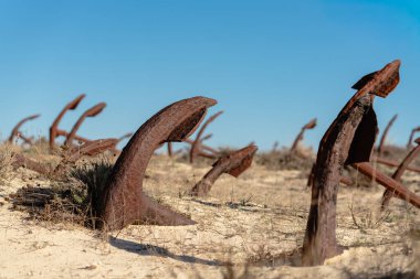 Denizin yakınındaki kuru kumlu zeminden demir çapalar yükselir ve sahil boyunca anıtsal bir desen oluşturur..