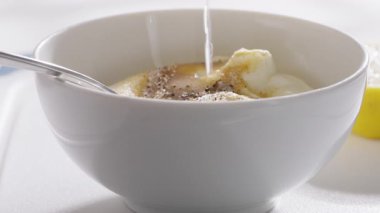 Sarımsak tozu, baharat, limon suyu ve zeytinyağıyla karıştırılmış Yunan yoğurdundan yapılan ev yapımı sos. Yüksek kalite 4k görüntü