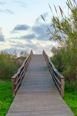 Yükseltilmiş ahşap yürüyüş yolu yemyeşil, yumuşak, bulutlu gökyüzünün altında yol açar..
