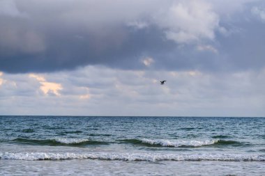 Tek bir kuş, bulutlarla dolu, kasvetli bir gökyüzünün altında yumuşak okyanus dalgalarının üzerinde süzülür..