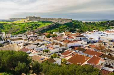 Parlak kırmızı gelincikler bulutlu bir gökyüzünün altında yemyeşil bir çayırda sallanıyor..