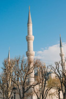 İstanbul 'da bir caminin minareleri, yumuşak kış güneşi altında bir sıra çıplak ağacın arkasında yükseliyor.
