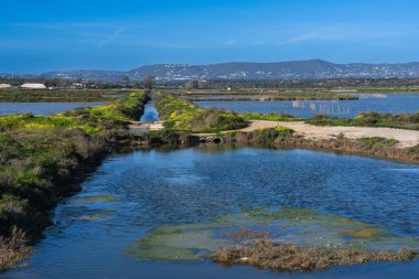 Ria Formosa Doğal Parkı, Algarve, Portekiz 'deki bataklık bitki örtüsüyle çevrili sakin su kanalları ve lagünler ağı.