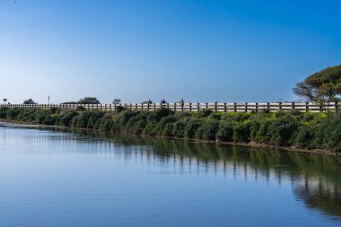 Portekiz 'in Algarve kentindeki Ria Formosa Doğal Parkı' nın sakin sularının yanında yürüyen insanların bulunduğu sahneli tahta kaldırım..