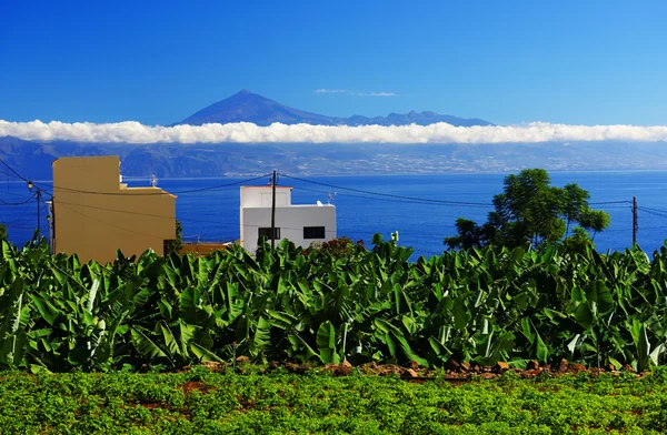 La Gomera Agulo — Stok fotoğraf