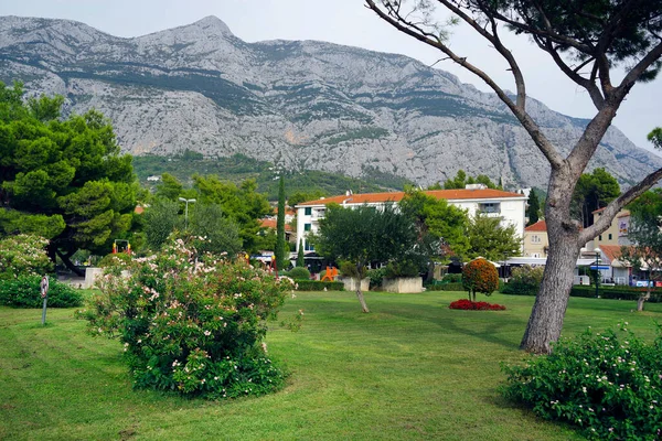 Dalmaçya, Hırvatistan ve Avrupa 'daki Makarska tatil beldesinin turistik manzarası