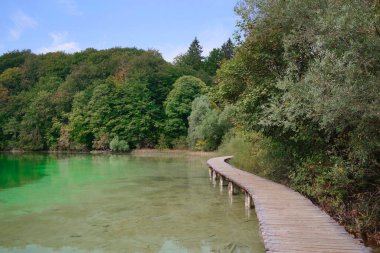 Plitvice Ulusal Parkı, Hırvatistan ve Avrupa 'da yaz manzarası