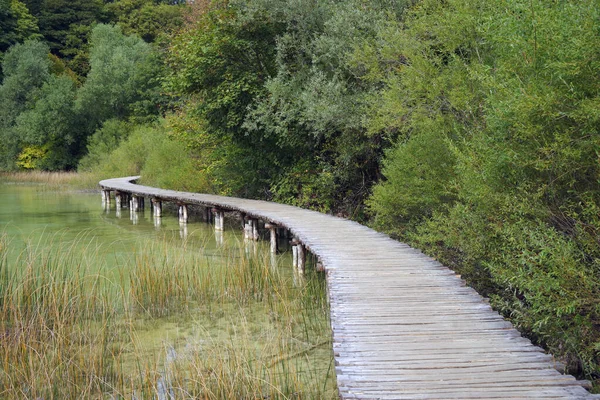Paesaggio Estivo Nel Parco Nazionale Plitvice Croazia Europa — Foto Stock