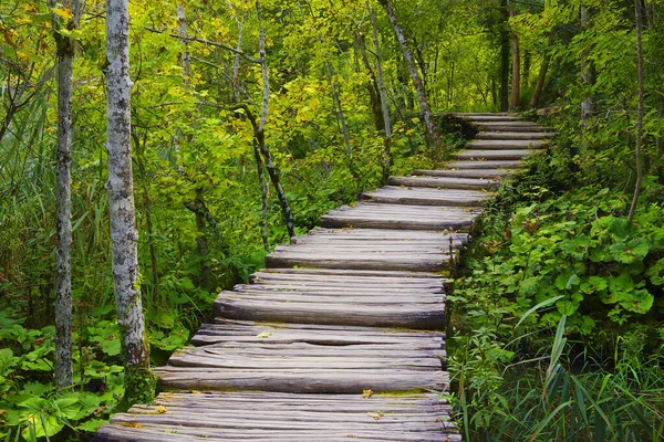 Paisaje Verano Parque Nacional Plitvice Croacia Europa — Foto de Stock