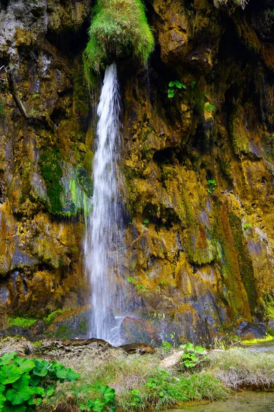 Sommerlandschaft Nationalpark Plitvice Kroatien Europa — Stockfoto