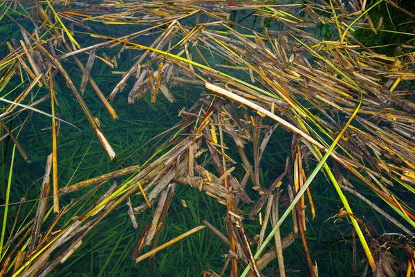 Detalles Naturales Del Agua Abstracta Parque Nacional Plitvice Croacia Europa —  Fotos de Stock