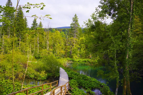 Krajobraz Letni Parku Narodowym Plitwice Chorwacja Europa — Zdjęcie stockowe