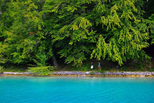 Paisaje Verano Parque Nacional Plitvice Croacia Europa — Foto de Stock