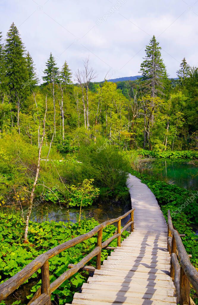 Summer landscape in Plitvice National Park, Croatia, Europe