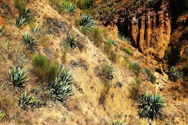 Valle Del Río Santa Cordiliera Blanca Perú América Del Sur — Foto de Stock