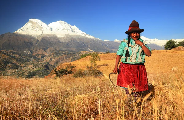 Peruaanse Boer Vrouw Oogsten Tarwe Peru Zuid Amerika — Stockfoto