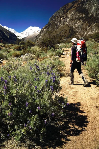 Trekking Cordiliera Blanca Perù Sud America — Foto Stock