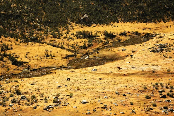 Alpine Landscape Cordiliera Blanca Cohup Valley Peru South America — Stock Photo, Image