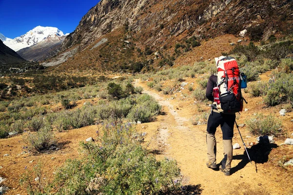 Trekking Cordiliera Blanca Peru Amerika Selatan — Stok Foto