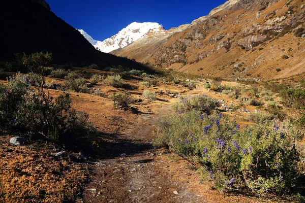 Valle Cohup Cordiliera Blanca Perú América Del Sur — Foto de Stock