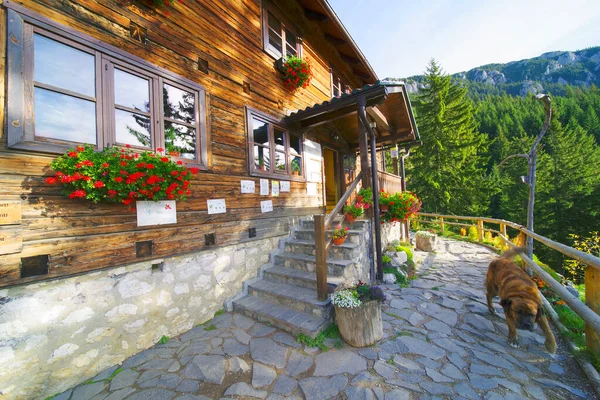 Old Wooden Curmatura Chalet Piatra Craiului National Park Romania Europe — Stock Photo, Image