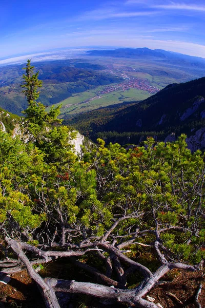 Альпійський Ландшафт Горах Пятра Крайолуї Румунія Європа — стокове фото