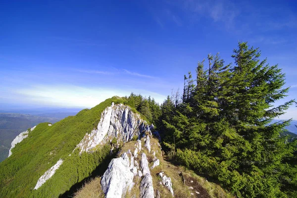 Альпійський Ландшафт Горах Пятра Крайолуї Румунія Європа — стокове фото