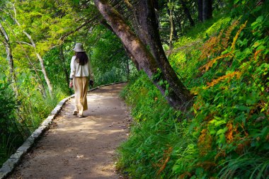 Plitvice Gölleri, Hırvatistan ve Avrupa 'da sonbahar başları manzarası