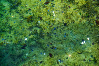 Soyut su doğal detaylar. Soyut arkaplan