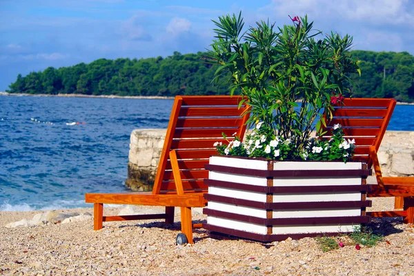 Longue Sulla Spiaggia Rovigno Croazia Sfondo Vacanze — Foto Stock