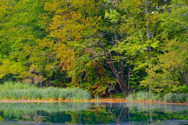 Paysage Début Automne Aux Lacs Plitvice Croatie Europe — Photo