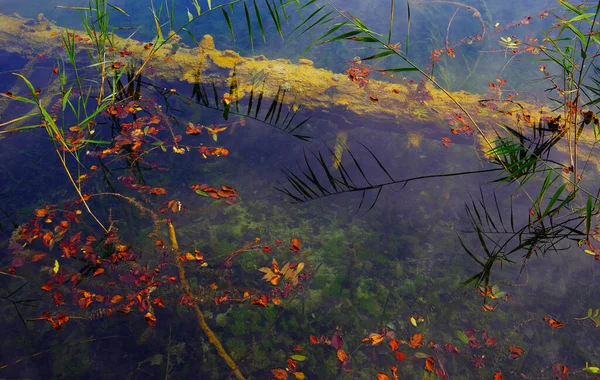 Abstract Water Natuurlijke Details Abstracte Achtergrond — Stockfoto