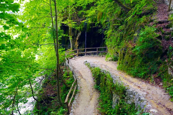 プリトヴィツェ湖 クロアチア ヨーロッパの初秋の風景 — ストック写真