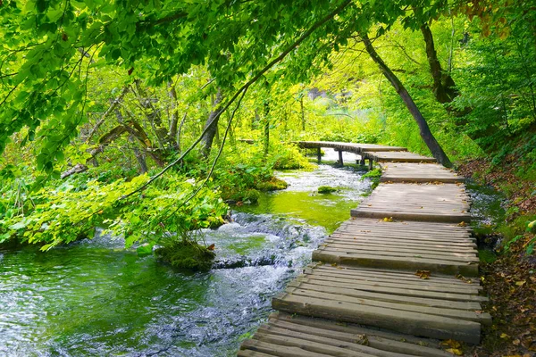 Paisaje Principios Otoño Los Lagos Plitvice Croacia Europa — Foto de Stock