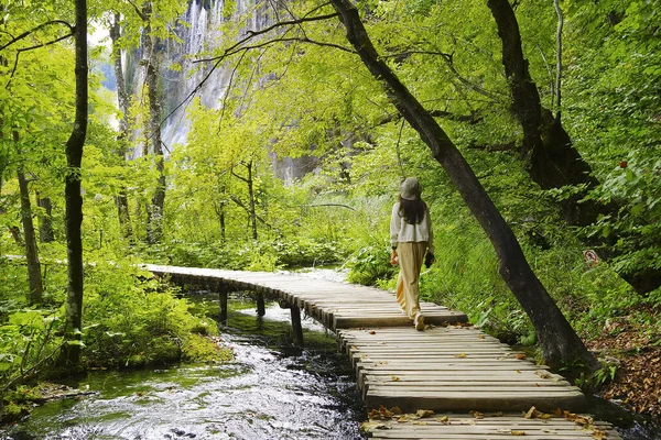 Plitvice Gölleri Hırvatistan Avrupa Sonbahar Başları Manzarası — Stok fotoğraf