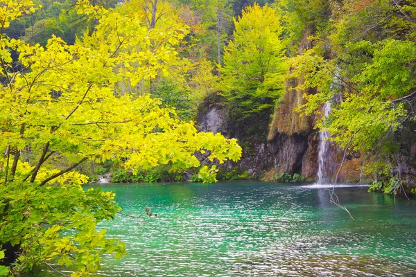 Early Autumn Landscape Plitvice Lakes Croatia Europe — Stock Photo, Image