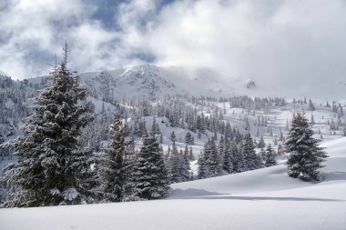 Godeanu Dağları, Karpatlar, Romanya ve Avrupa 'da kış