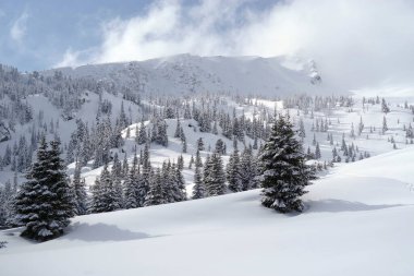 Godeanu Dağları, Karpatlar, Romanya ve Avrupa 'da kış
