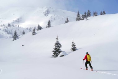 Godeanu Dağları, Karpatlar, Romanya ve Avrupa 'da kayak turu