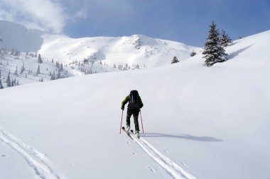 Godeanu Dağları, Karpatlar, Romanya ve Avrupa 'da kayak turu
