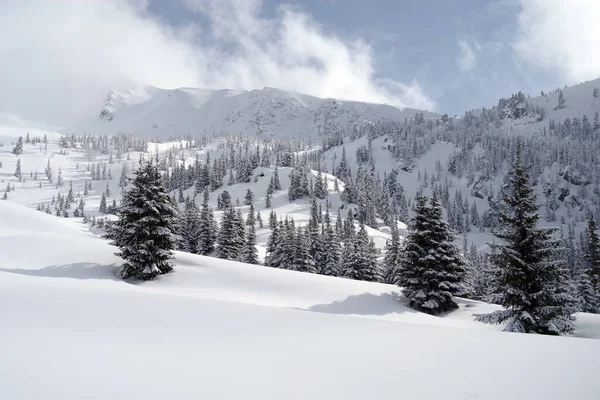 Zima Górach Godeanu Karpaty Rumunia Europa — Zdjęcie stockowe