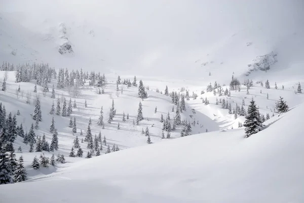 Invierno Las Montañas Godeanu Cárpatos Rumania Europa —  Fotos de Stock