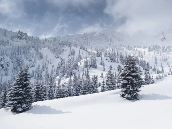 Invierno Las Montañas Godeanu Cárpatos Rumania Europa —  Fotos de Stock