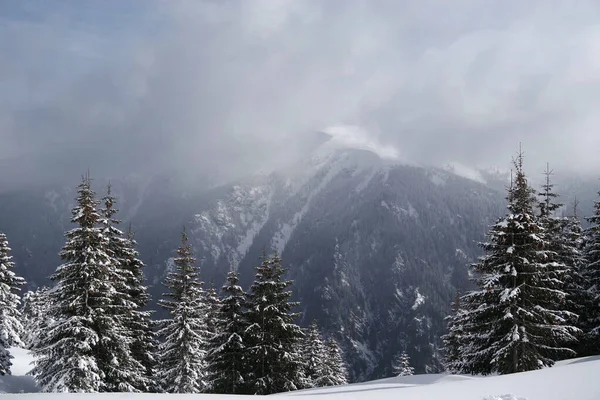 Invierno Las Montañas Godeanu Cárpatos Rumania Europa —  Fotos de Stock