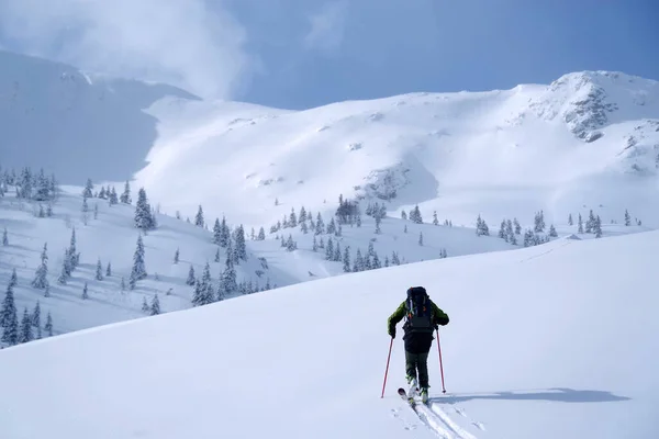 Skitour Godeanu Gebirge Karpaten Rumänien Europa — Stockfoto