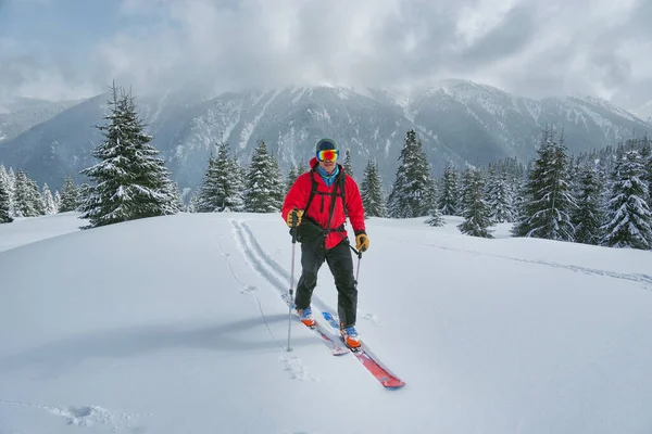 Ski Tour Godeanu Mountains Carpathians Romania Europe — Stock Photo, Image