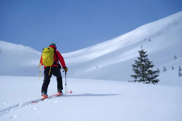 Ski Tour Godeanu Mountains Carpathians Romania Europe — Stock Photo, Image